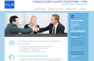 YLC CONSULTANT ACHAT